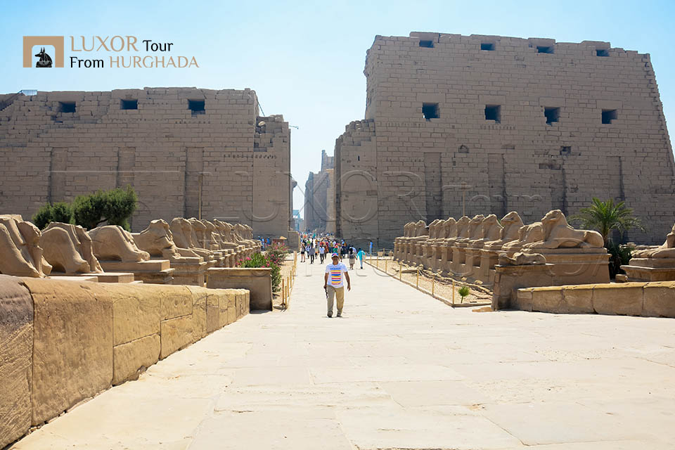 Over Day Trip to Luxor from Hurghada By bus