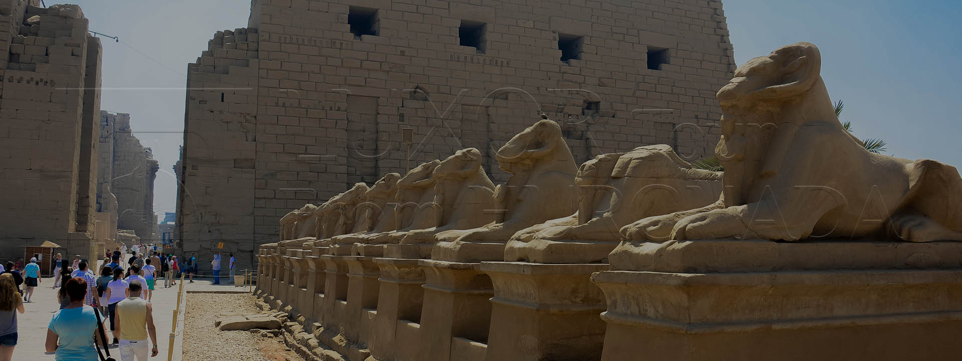 Over Day Trip to Luxor from Hurghada By bus