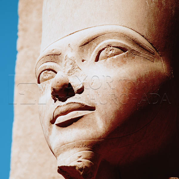 Day Trips from Makadi Bay to Luxor