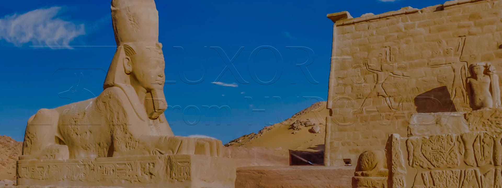 Day Trips from Soma Bay to Luxor