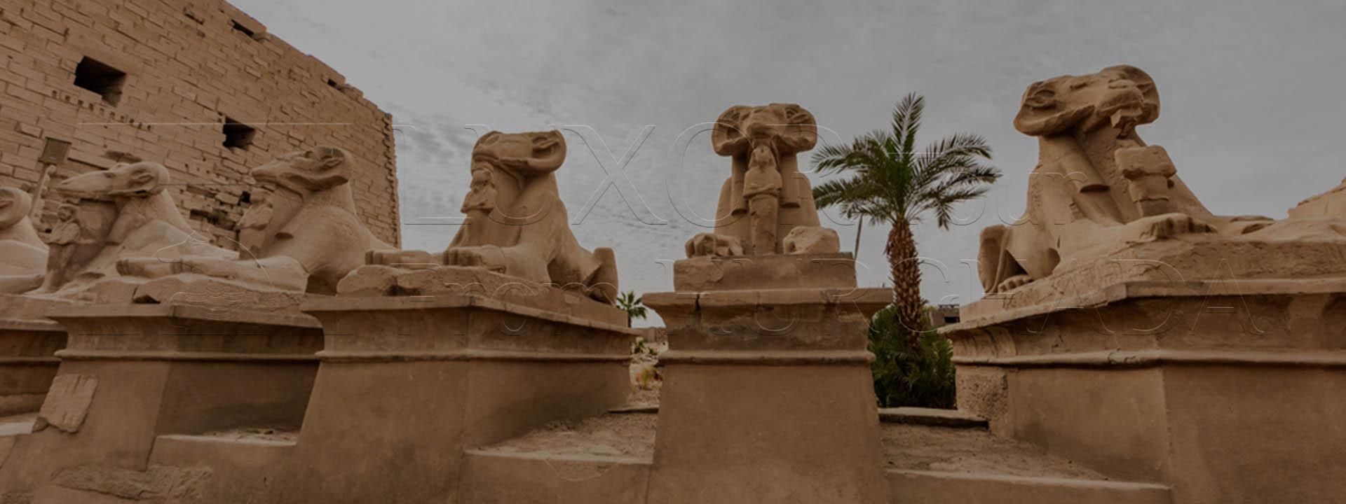 Luxor exucrsion from Soma Bay